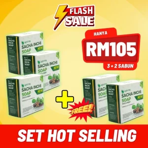 3 FREE 2 KOTAK SABUN